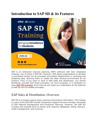 introduction to sap sd its features