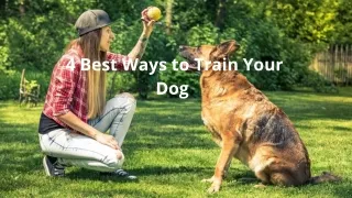 4 Best Ways to Train Your Dog