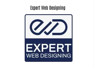 Expert Web Designing