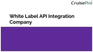 White Label API Integration Company