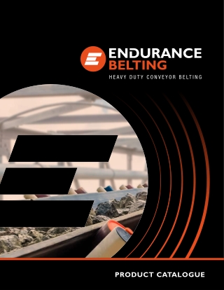Endurance transportband
