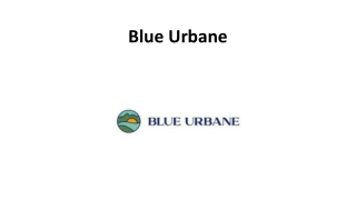 Sustainable Women's Shorts: Blue Urbane
