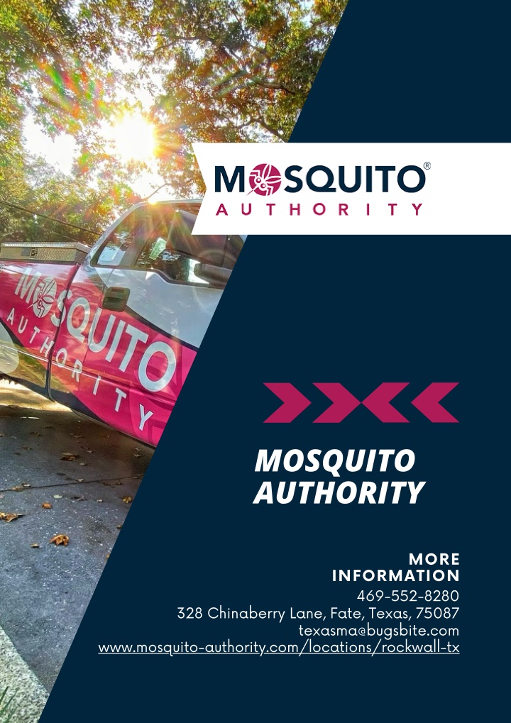 PPT Mosquito Authority PowerPoint Presentation, free download ID