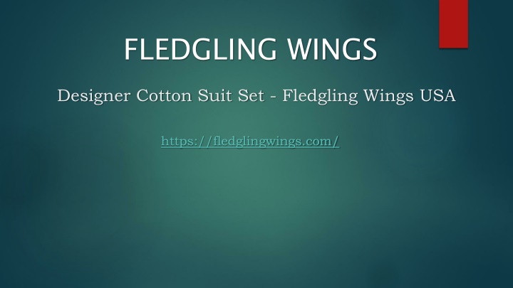 designer cotton suit set fledgling wings usa