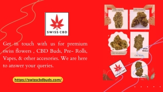 Swiss CBD Bud Review Buy Premium Hemp Strains Online - swisscbdbuds