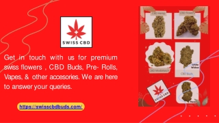 Swiss CBD Bud Review Buy Premium Hemp Strains Online - swisscbdbuds