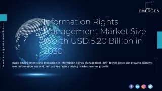 Information Rights Management Market