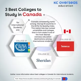 3 Best Colleges to Study in Canada