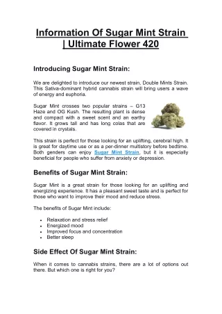 Information Of Sugar Mint Strain | Ultimate Flower 420