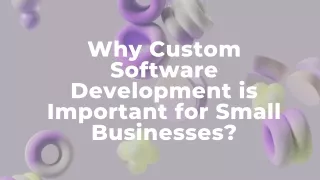 why custom development important for small business