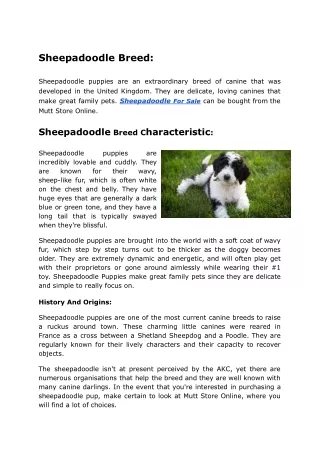 Sheepadoodle Puppies for Sale | Mutt Store Online