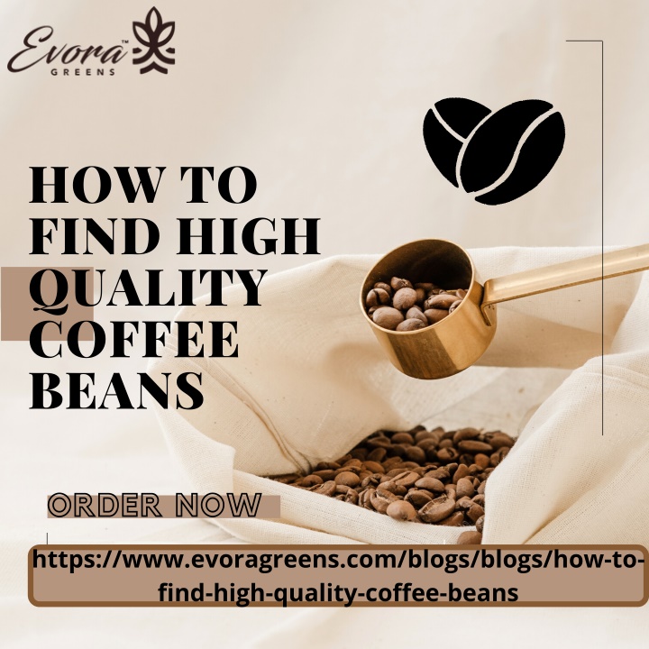 how to find high quality coffee beans