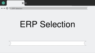 ERP Selection