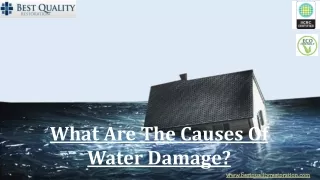 What Are The Causes Of Water Damage?