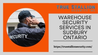 The Best Warehouse Security Services In Sudbury, Ontario