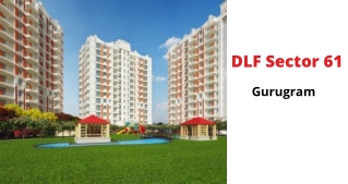 dlf sector 61