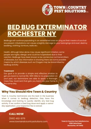 bed bug exterminator rochester ny