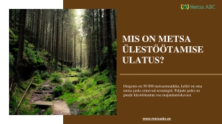 mis on metsa lest tamise ulatus