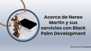 Acerca de Nereo Martin y sus servicios con Black Palm Development