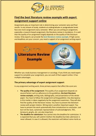 find the best literature review example with
