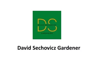 David Sechovicz Gardener
