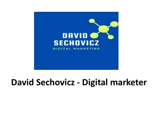 david sechovicz digital marketer