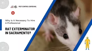 Why Is It Necessary To Hire A Professional Rat Exterminator In Sacramento