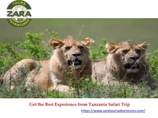 Get the Best Experience from Tanzania Safari Trip