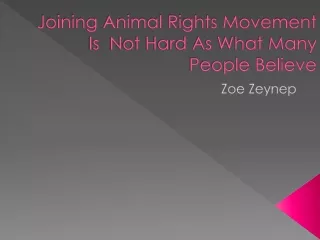 Joining Animal Rights Movement Is  Not Hard As What Many People Believe - Zoe Zeynep