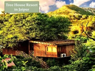 tree house resort in jaipur