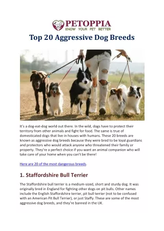 Top 20 Aggressive Dog Breeds