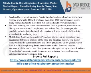 Middle East & Africa Respiratory Protection Market