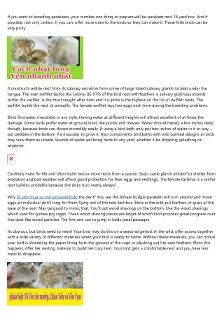 Pet Bird Supplies - Get The Right Stuff