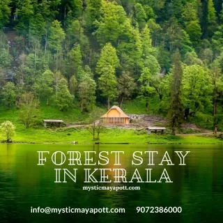 Forest Stay In Kerala | Mystic Maypott