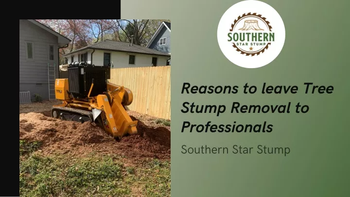 reasons to leave tree stump removal