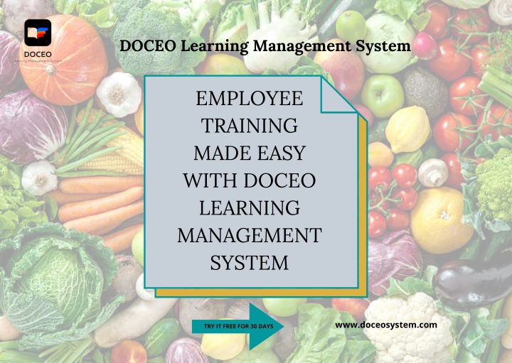doceo learning management system