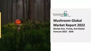 mushroom global market report 2022 market size