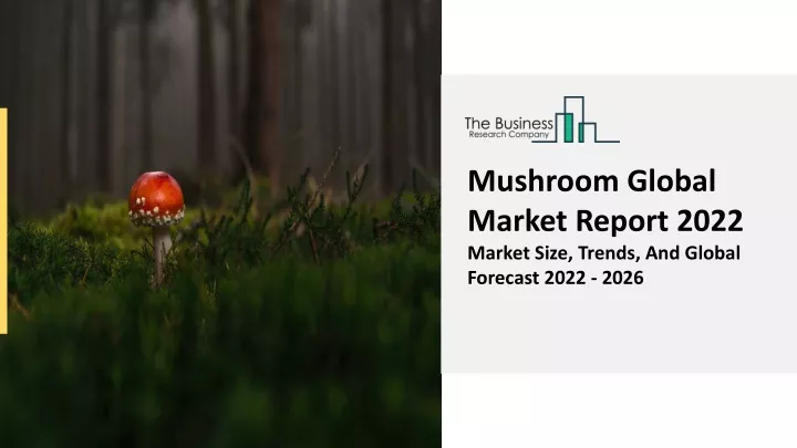 mushroom global market report 2022 market size