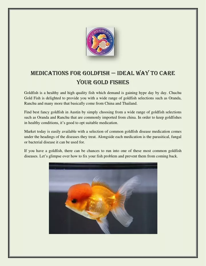 medications for goldfish ideal way to care your