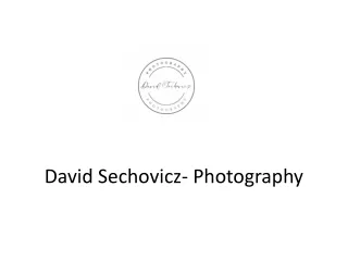 David Sechovicz- Photography