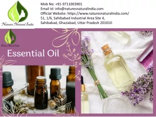 Peppermint Essential Oils - Natures Natural India