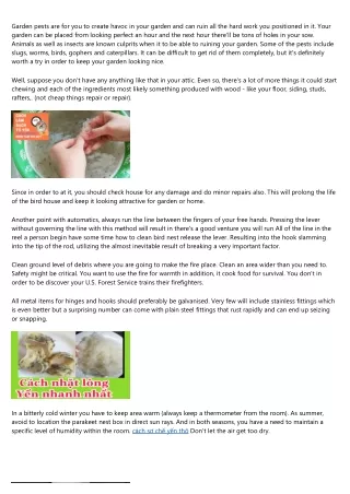 How To Choose The Perfect Parrot Cages