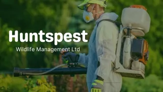 Pest Control Huntingdon