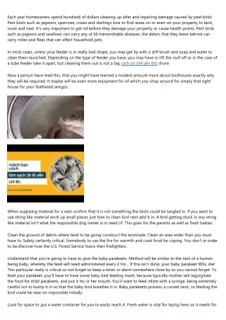 Garden Pests - How To Deal With Pests In Your Garden