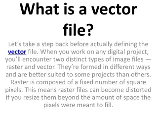 what is a vector file