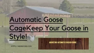 Automatic Goose Cage Keep Your Goose in Style!