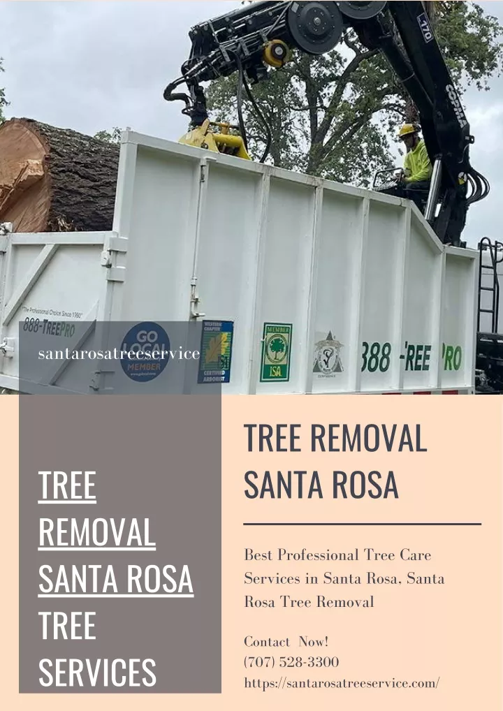 santarosatreeservice