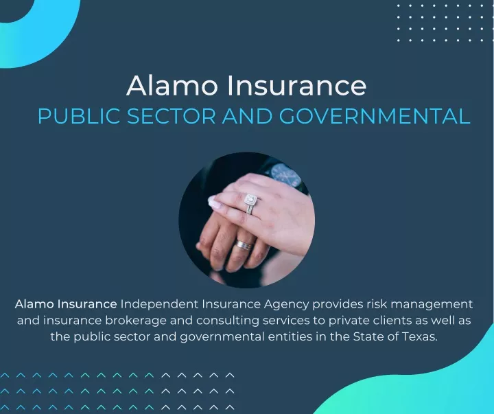 alamo insurance public sector and governmental