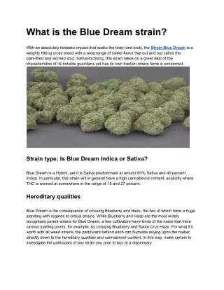 What is the Blue Dream strain