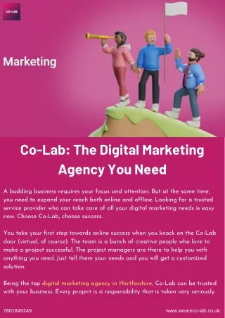 Co-Lab: The Digital Marketing Agency You Need